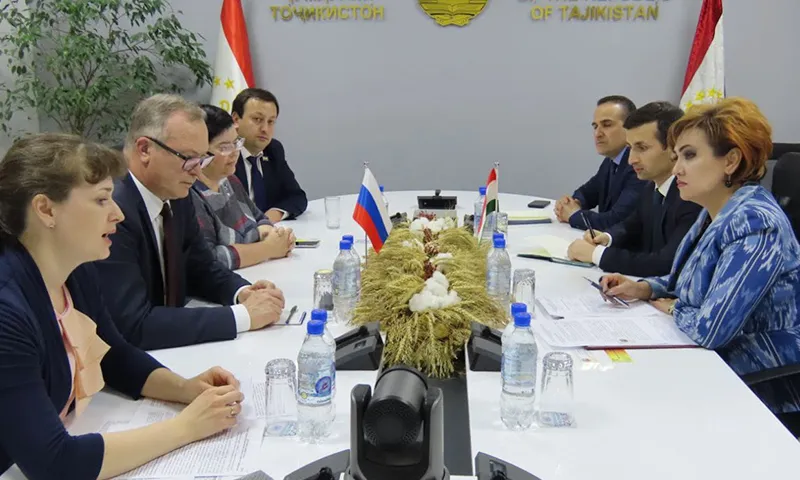 Представители Алтайского края и Республики Таджикистан обсудили перспективы сотрудничества регионов