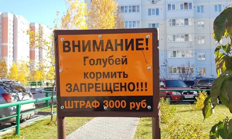 Таблички с запретом кормить голубей появились в барнаульском квартале новостроек