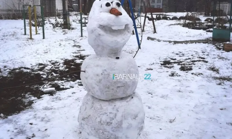 Малолетние хулиганы разгромили снеговика в барнаульском дворе