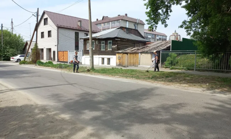 В Барнауле начали косить траву