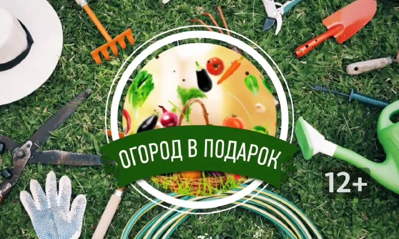 «Огород в подарок»: чему мы научились в 2023 году