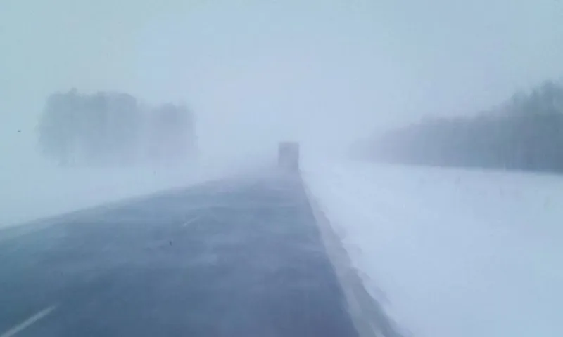 Почти во всех районах Алтайского края ураган. Видео