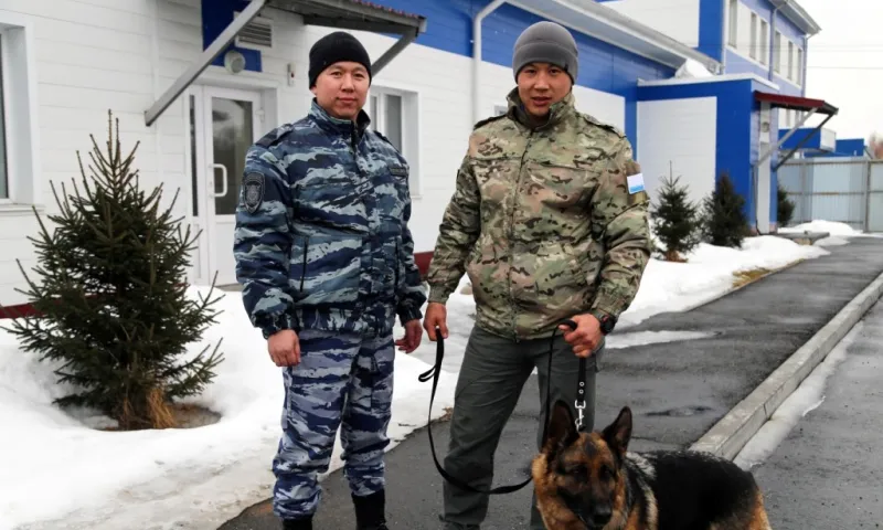 Ушедшая на пенсию полицейская собака обрела нового хозяина на Алтае