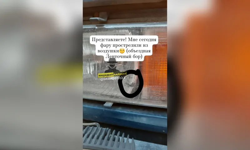 «Прострелили фару»: жительница Барнаула рассказала о стрельбе в Ленточном бору