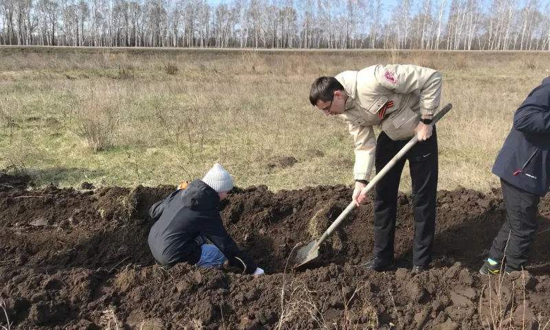 Рябиновую аллею высадили на въезде в село Новичиха