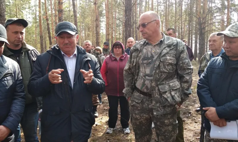 Вопросы сохранения и восстановления лесов обсудили в Алтайском крае