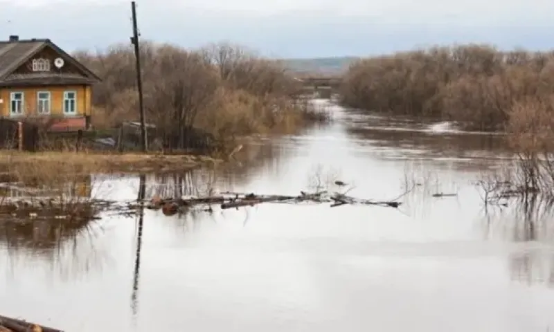 От нашествия талых вод страдают жители Рубцовского района
