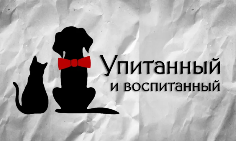 «Упитанный и воспитанный»: выпуск 5