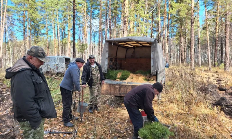 Акция «Сохраним лес» завершилась в Алтайском крае