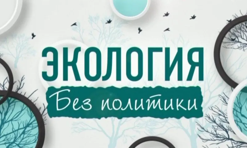 «Экология без политики»: влияние применения пестицидов в сельском хозяйстве на пчеловодство в Алтайском крае