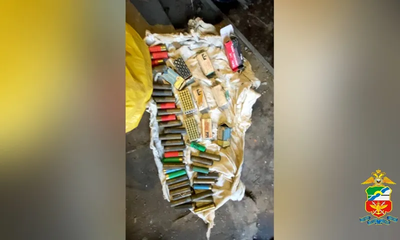 Жителю Алтайского края грозит срок за незаконное хранение патронов