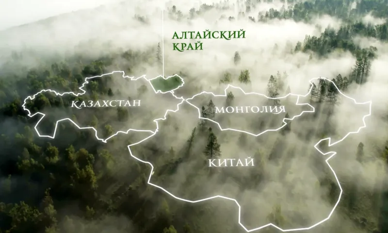 Документальный фильм к 80-летию Алтайского края 