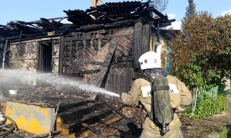 Пенсионерка погибла при пожаре в Рубцовском районе 