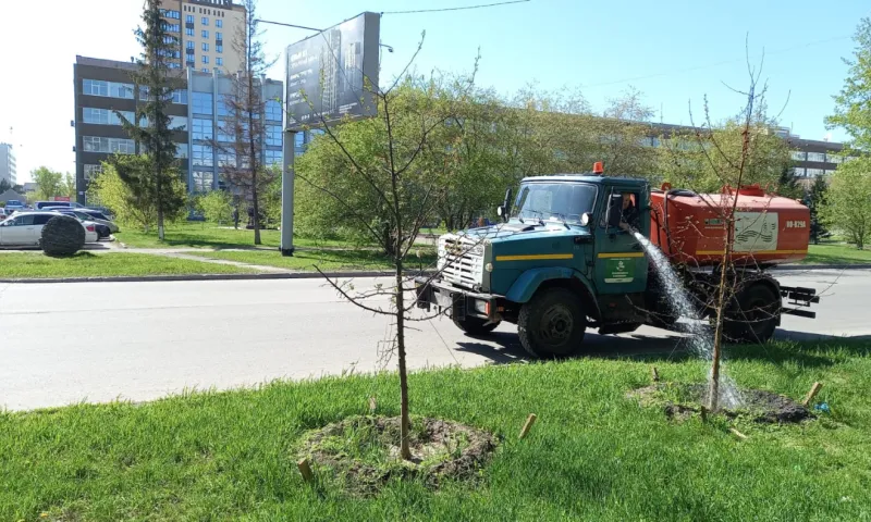 К поливу деревьев и цветников приступили в Барнауле