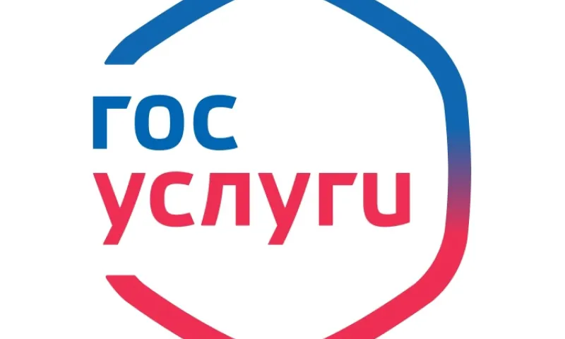 В российском приложении «Госуслуги» отключили возможность удаления профиля