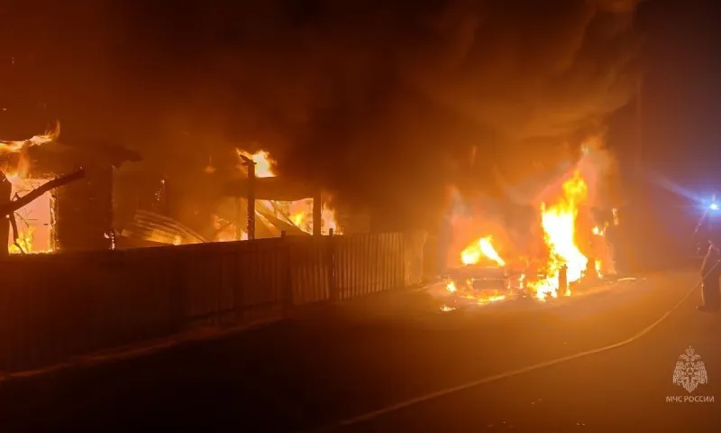 Жильцы дома погибли при крупном пожаре в Рубцовском районе