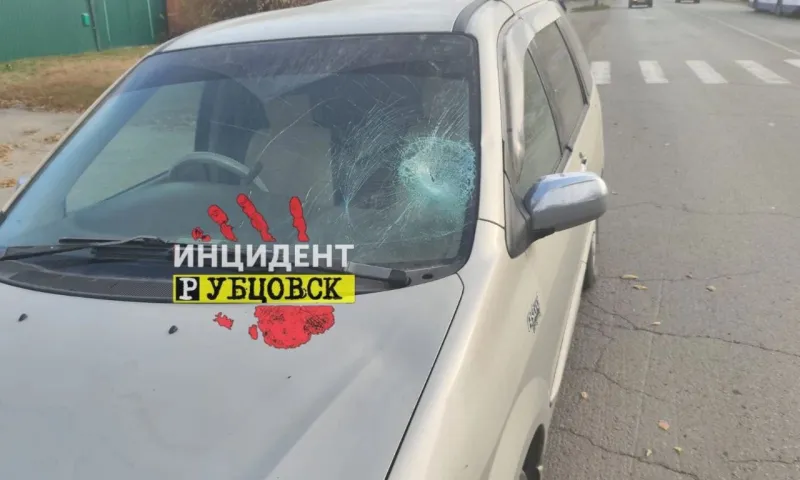 Пешехода насмерть сбили в Рубцовске