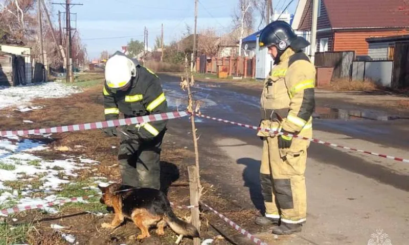 Немецкую овчарку достали со дна ямы в Благовещенском районе