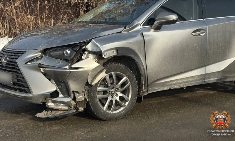 Пенсионерка и ребенок попали под машину в Бийске