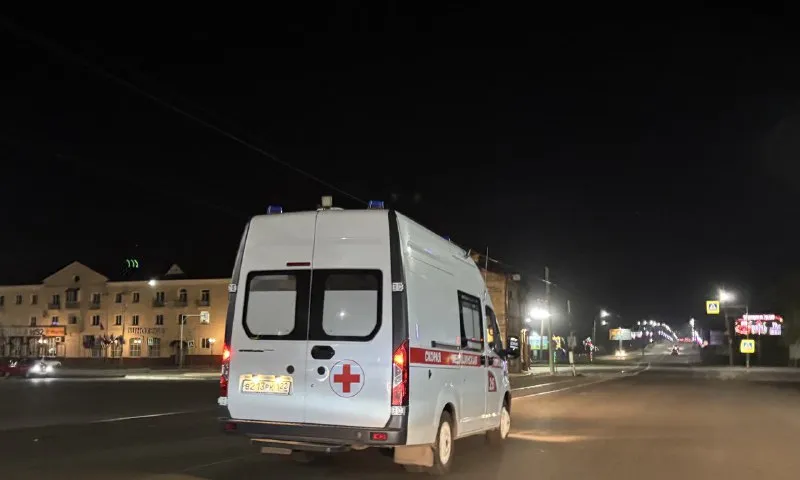 Лось спровоцировал ДТП в пригороде Бийска 