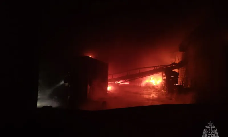 Крупный пожар в Барнауле удалось локализовать 