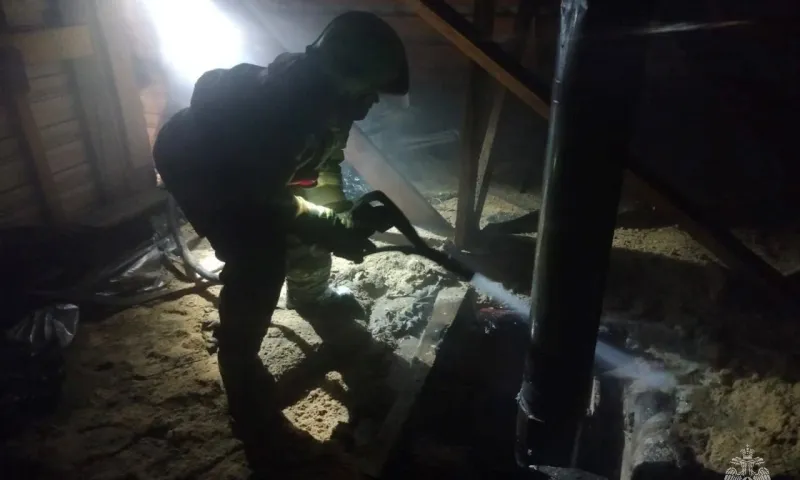 Семью спасли при пожаре в Рубцовске