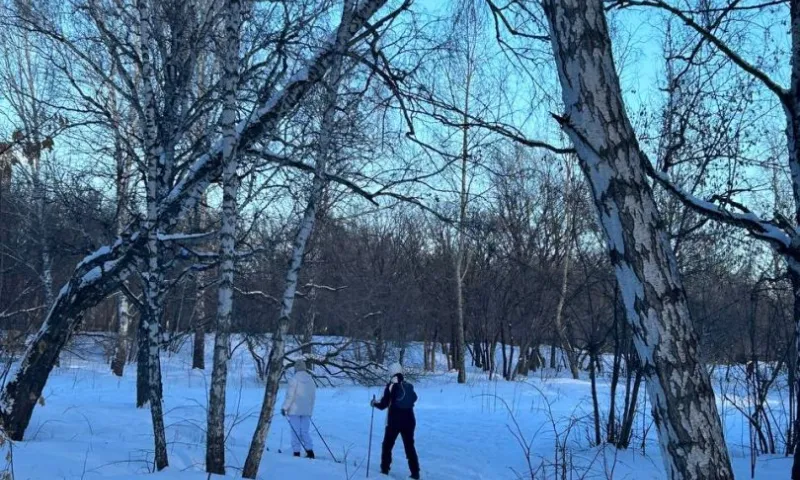 Зимняя сказка в барнаульском Невском парке. Фото