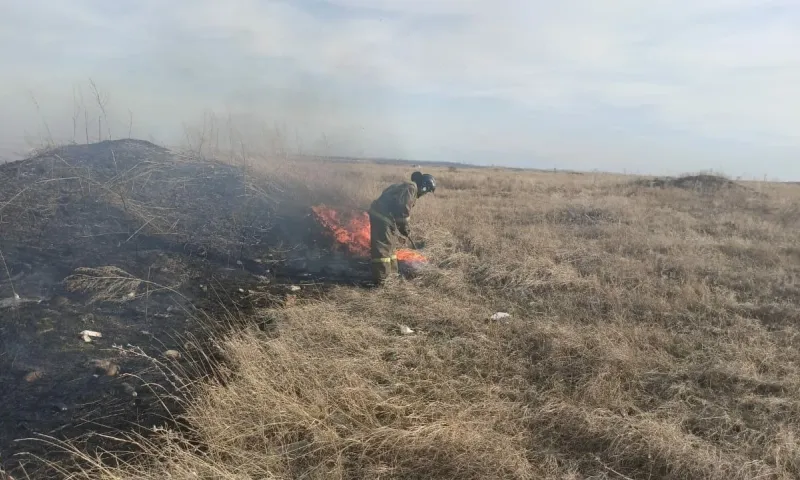 76 пожаров ликвидировано в Алтайском крае, в том числе 61 возгорание травы