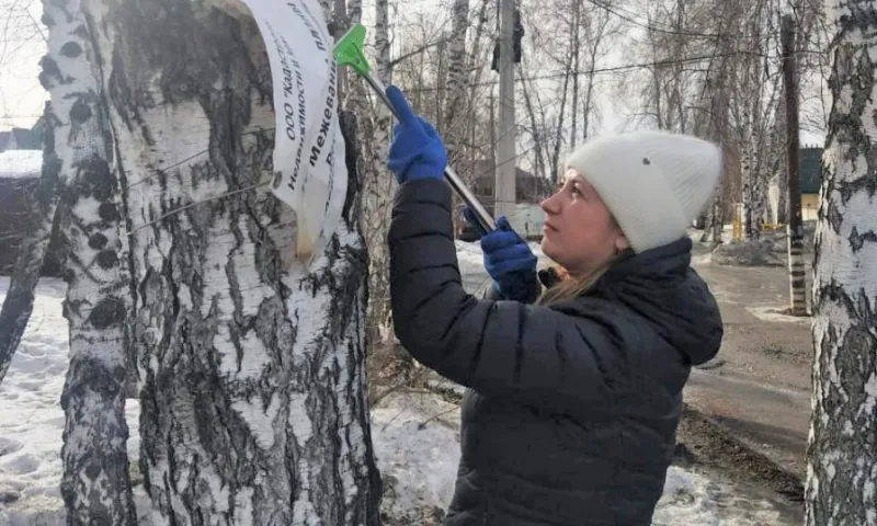 Барнаульские улицы приводят в порядок после зимы
