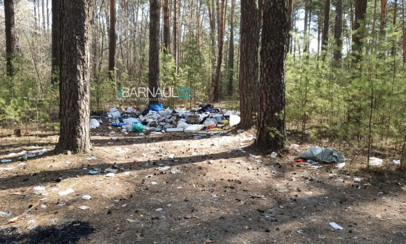 Очевидцы обнаружили свалку в бору Алтайского края