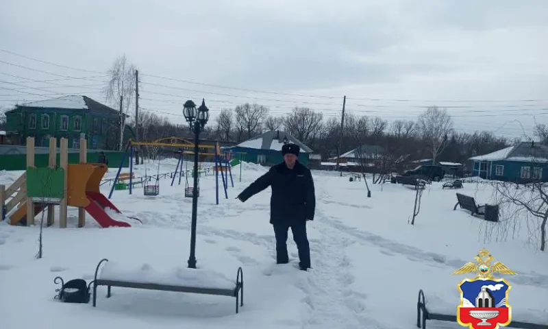 Житель Смоленского района решил повисеть на фонарях, а после спрятал их в сугроб