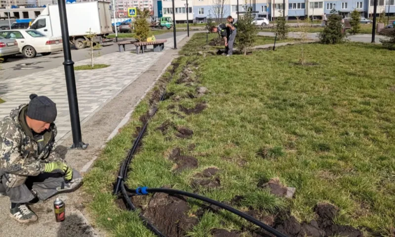 Система автополива появится в барнаульском сквере «Взлетный»
