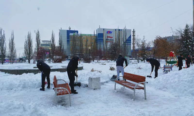 Студенты-волонтёры убирали снег с улиц Барнаула