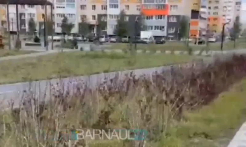 Барнаульцы пожаловались на «заброшенный сквер»