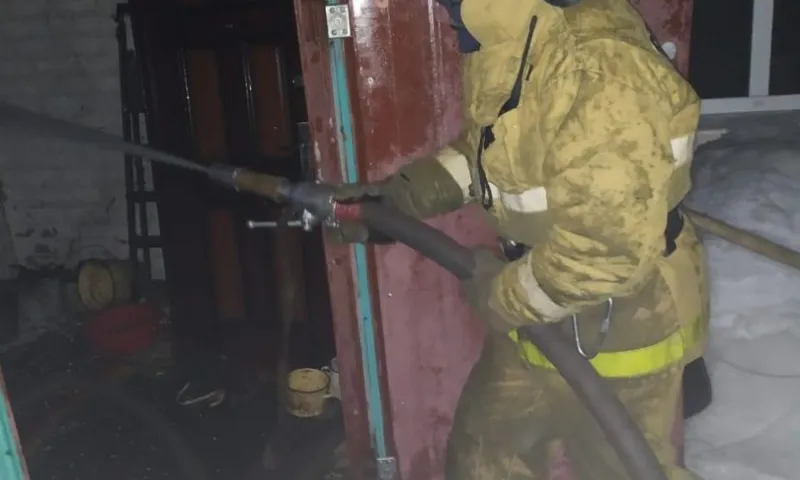 Соседи спасли двоих детей при пожаре в Троицком районе