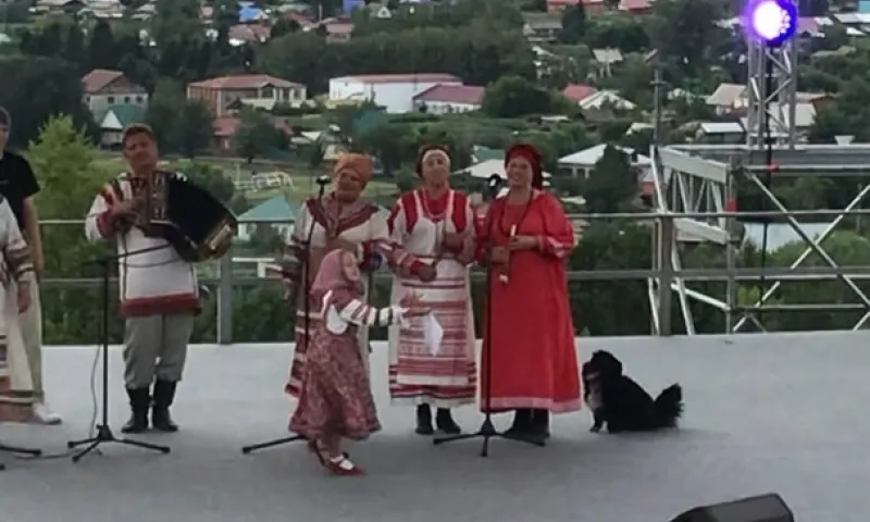 Артистичный пёс ворвался на сцену во время церемонии закрытия «Шукшинских дней на Алтае»