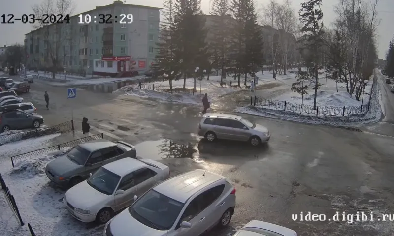 Стая бродячих собак напала на 11-летнюю девочку в Бийске