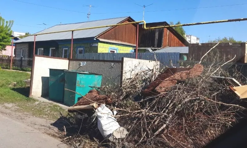 Состояние контейнерных площадок проверили в Барнауле