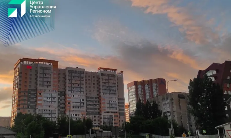 Почти 90 тысяч жителей Алтайского края подключили приложение «Госуслуги Дом»