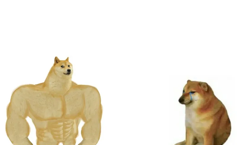 Собака из известного мема Doge умерла в возрасте 18,5 года