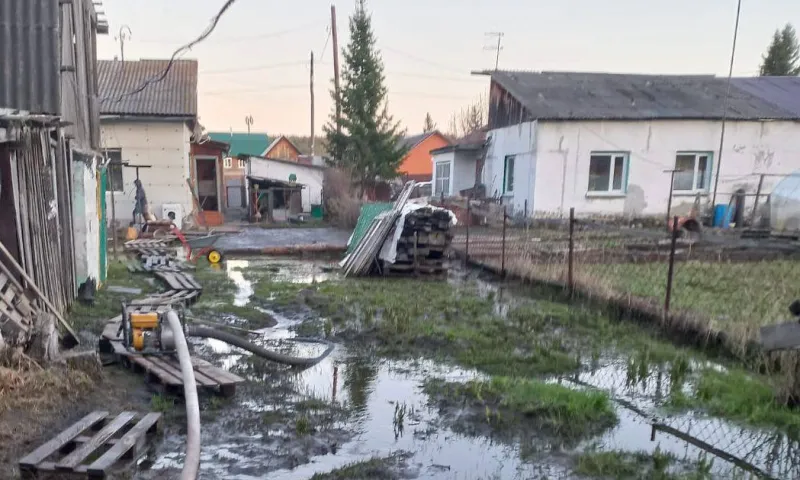 В посёлке Борзовая Заимка ведётся откачка грунтовой воды с низменных участков