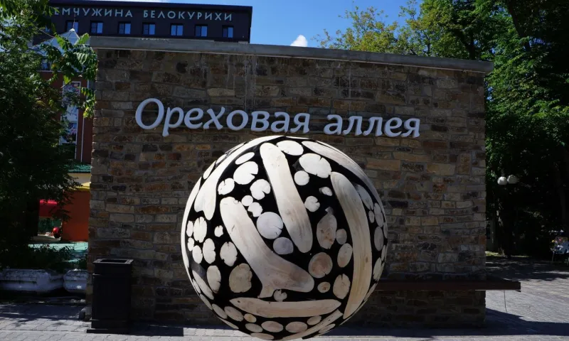 Загадочный арт-объект появился в Белокурихе