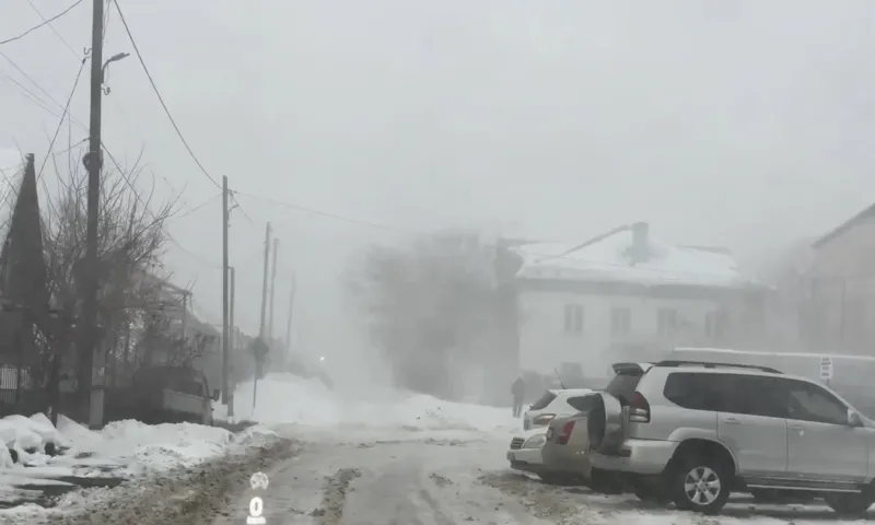 Метель в Алтайском крае. Видео