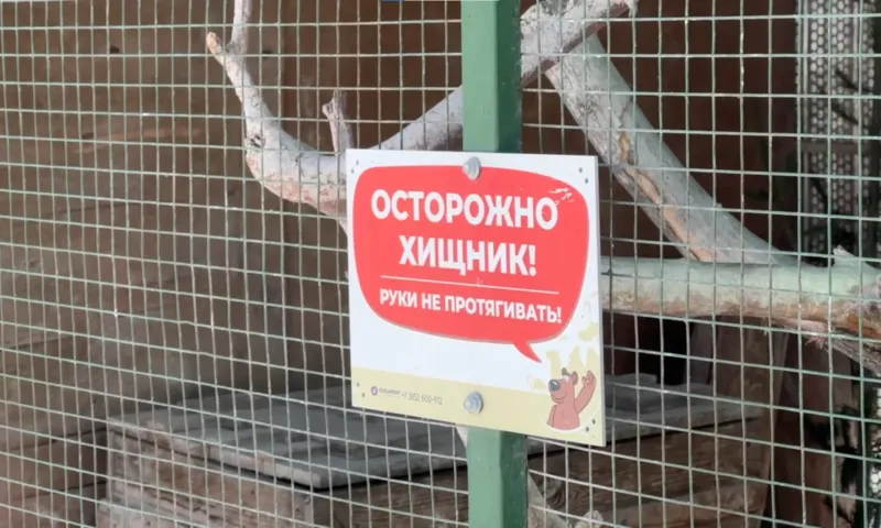 Волка и зайца выселили из барнаульского зоопарка: почему и кто в этом виноват