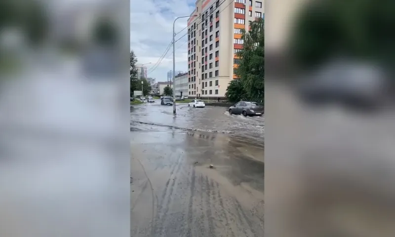 Ливни и грозы ожидаются в выходные в Алтайском крае