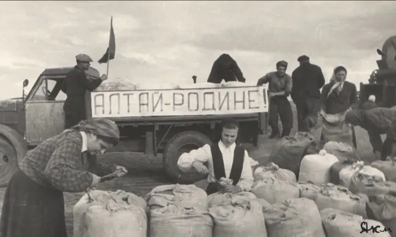 70 лет освоения целины: как на Алтае создавали новую сельскохозяйственную житницу