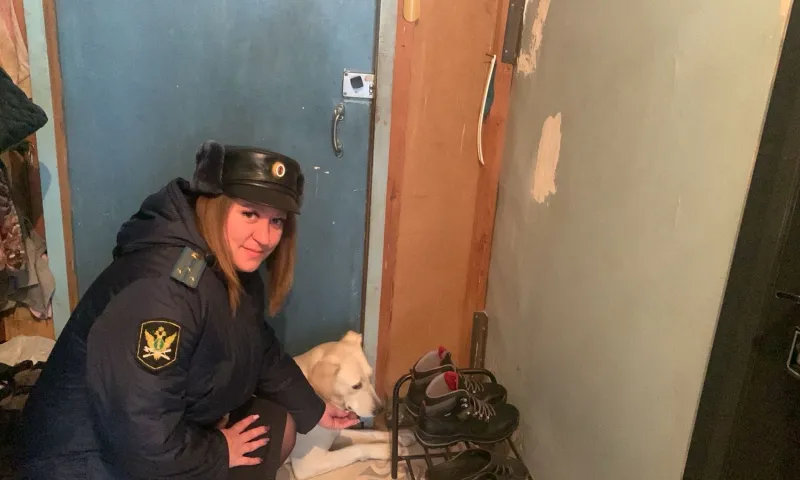 Потерявшаяся собака пришла к отделению судебных приставов в Заринске