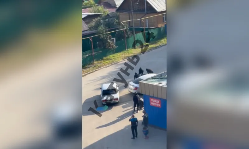 Неизвестные избили и похитили людей в центре Барнаула