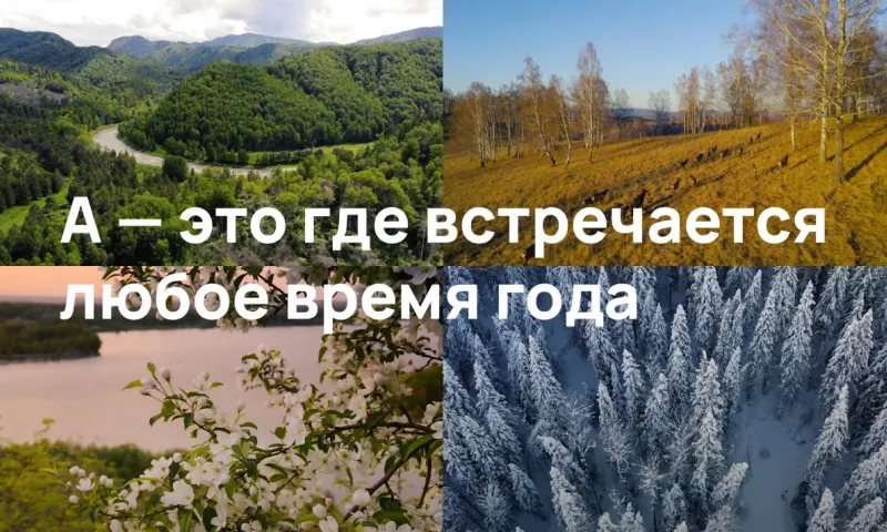 «А – это где?». Алтайский край глазами туриста: маральник, тысячи озёр и зимовка лебедей