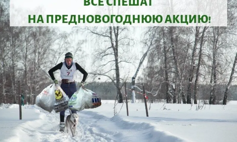 30 точек раздельного сбора мусора будут работать в Барнауле 21 декабря